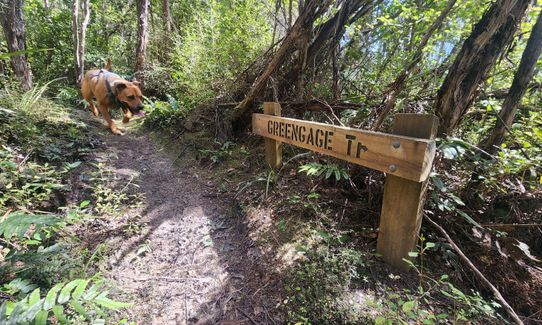 Greengauge Loop, Otago