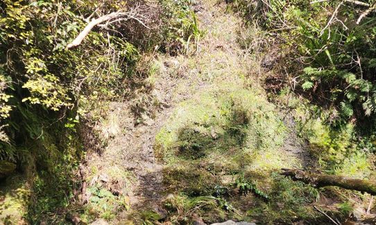 Greengauge Loop, Otago