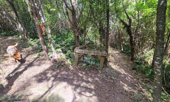 Greengauge Loop, Otago
