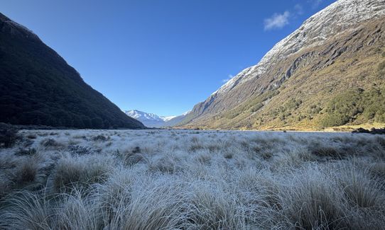 Greenstone/Caples, Otago