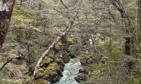 Greenstone/Caples, Otago