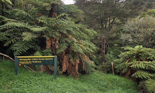 Hapuakohe Hills, Waikato