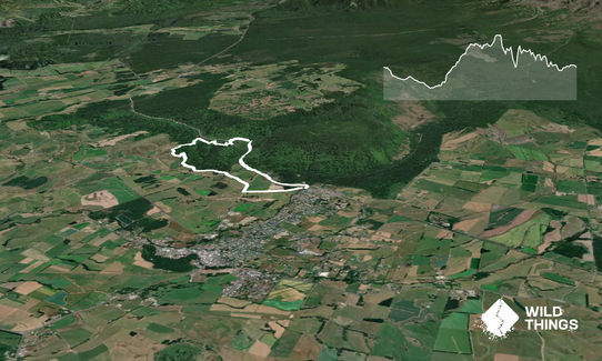 Hapuawhenua Viaduct Loop, Manawatu - Wanganui
