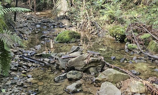 Harker Reserve to Vivian Falls, Waikato