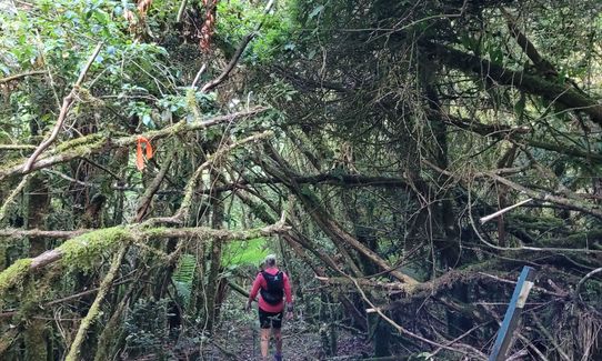 Hauhangaroa Happiness - Southern end, Manawatu - Wanganui