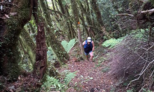 Hauhangaroa Happiness - Southern end, Manawatu - Wanganui