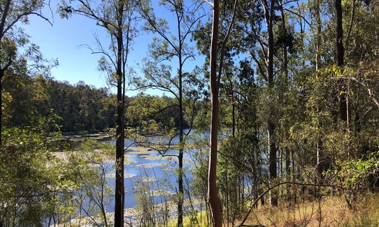 Hell Hole-y Moley!, Queensland