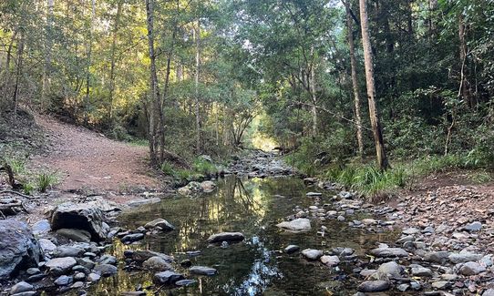 Hell Hole-y Moley!, Queensland