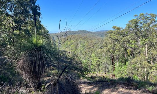 Hell Hole-y Moley!, Queensland