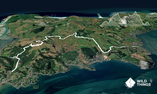 Hereweka Traverse, Otago