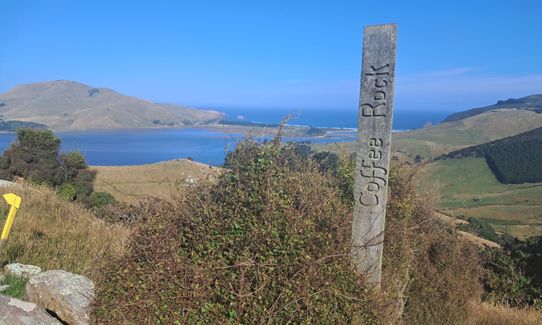 Hereweka Traverse, Otago