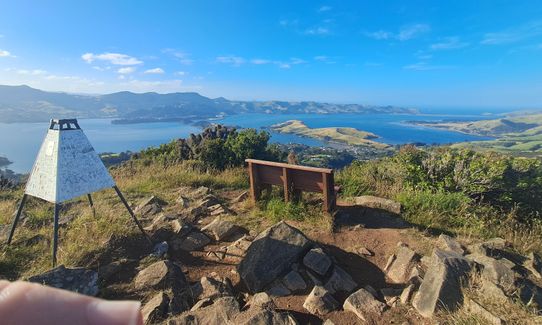 Hereweka Traverse, Otago