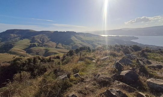 Hereweka Traverse, Otago