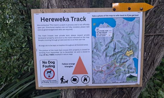 Hereweka Traverse, Otago