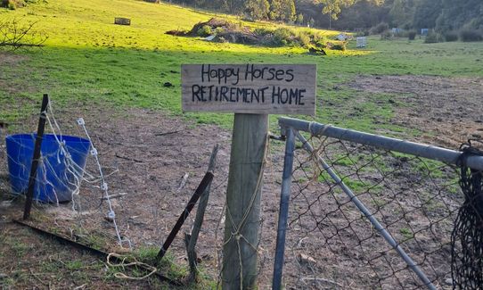 Hereweka Traverse, Otago