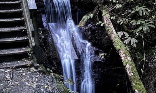 Hilly Hakarimata Loop, Waikato