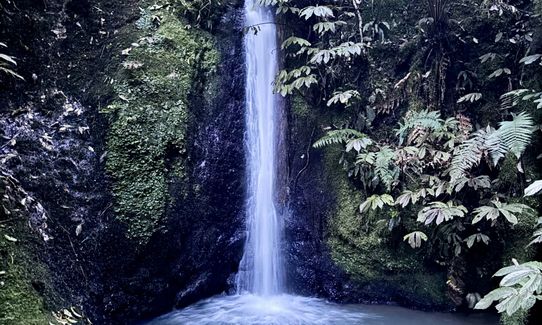 Hilly Hakarimata Loop, Waikato