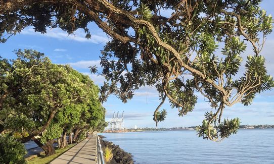 Hobson Bay Loopity, Auckland
