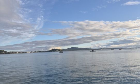 Hobson Bay Loopity, Auckland