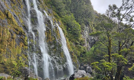 Hollyford Road - Routeburn Loop via Deadmans and Pass Creek, Southland