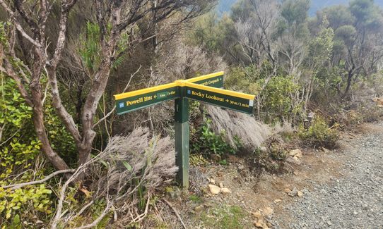 Hooper Loop - Mt Holdsworth, Wellington