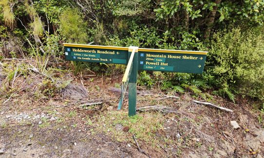 Hooper Loop - Mt Holdsworth, Wellington