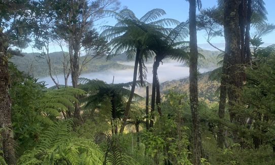 Hunua Hillbilly Marathon, Auckland