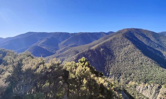 Northern Ruahine Rumble, Hawkes Bay