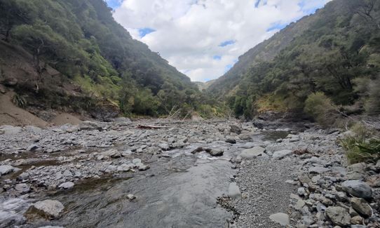 Northern Ruahine Rumble, Hawkes Bay