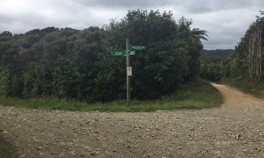 Perhams Road Loop, Wellington