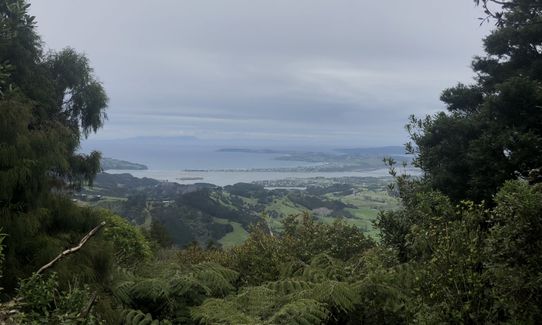 Mt Tamahunga, Auckland