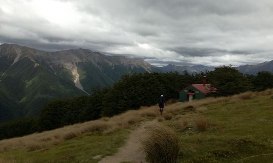 Mt Robert Loop, Tasman