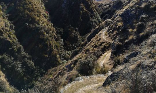 Miners Trail, Otago