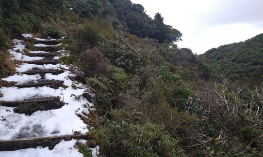Wilkie and The Enchanted Ridge, Taranaki