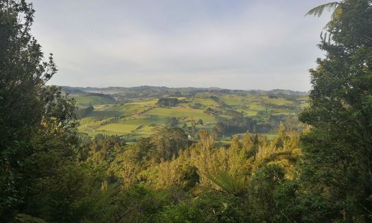 Hunua Hillbilly 22km, Auckland