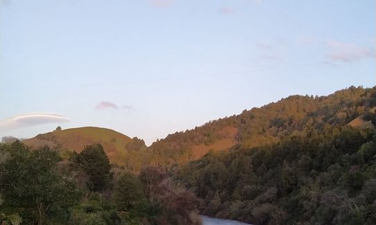 Te Maire Track, Manawatu - Wanganui