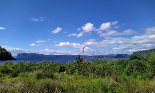 Waihaha Trail - Out & Back, Waikato