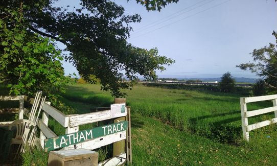 Latham's Hill Track, Bay of Plenty
