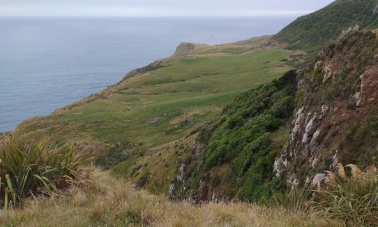 Sandymount - Sandfly Bay Loop, Otago