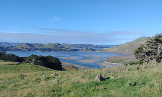 Sandymount - Sandfly Bay Loop, Otago