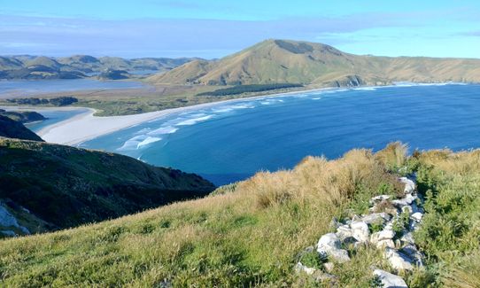 Sandymount - Sandfly Bay Loop, Otago