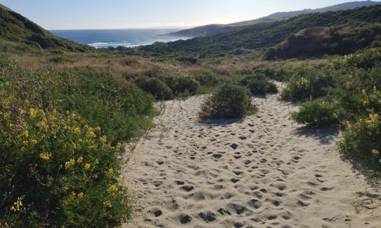 Sandymount - Sandfly Bay Loop, Otago