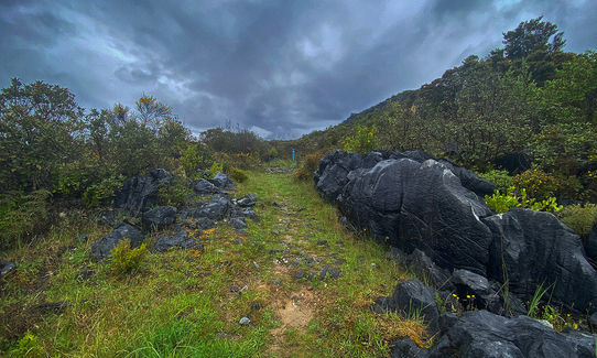 Takaka Hill Walkway, Tasman