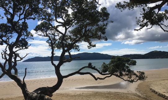 Pa-taking in Mangonui, Northland