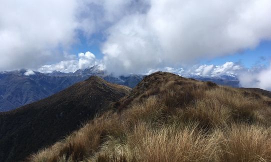 Mount Te Kinga, West Coast