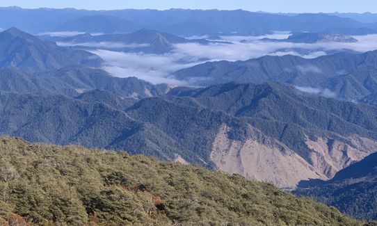 Mt Murchison