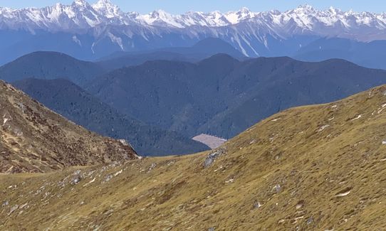 Mt Murchison