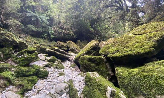 Porarari to Cave Creek, West Coast