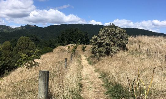 Bright Ridge Skyline Trail, Wellington