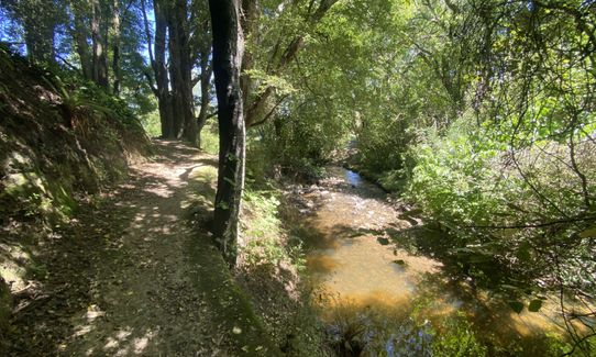 Whiskey Creek, Southland